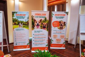 Three roll-up banners for an animal shelter adoption event, printed in French with the headlines SECURISER, STERILISER and IDENTIFIER