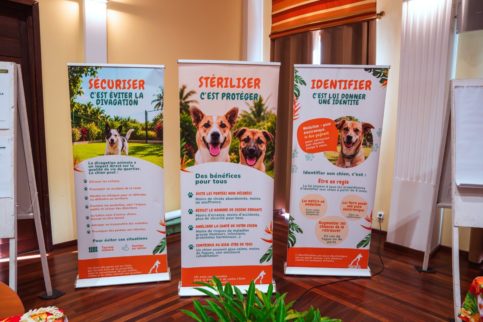 Three roll-up banners for an animal shelter adoption event, printed in French with the headlines SECURISER, STERILISER and IDENTIFIER