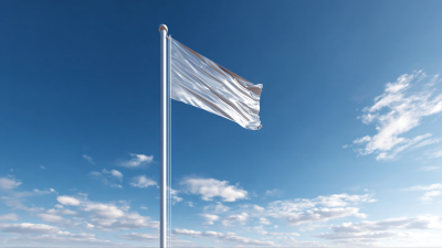 Future Trends in Heavy Duty Flag Pole Market Analysis for 2025