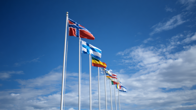 How to Select the Perfect Flag Pole for Your House Installation Guide