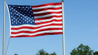 The Future of Flagpoles A Revolution in Best Aluminum Flagpole Design